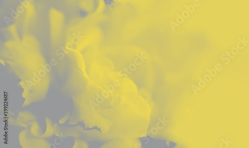 Unfocused blurred peony leaves in trendy colors of 2021. Abstract background, Wallpaper tinted in Illuminating Yellow and Ultimate Gray