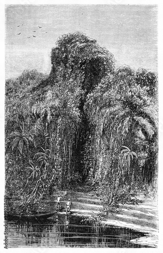 Entrance to jungle with strong barrier of tangled vegetation from river shore of Rio Negro bank Brazil. Ancient grey tone etching style art by Riou, Biard and Minne, Le Tour du Monde, 1861