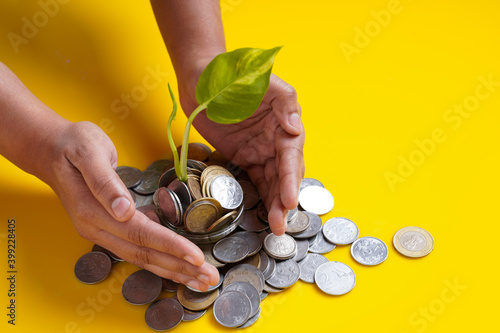 Women Hands holding little plant growing from coins as symbol of money saving and growth or investment photo