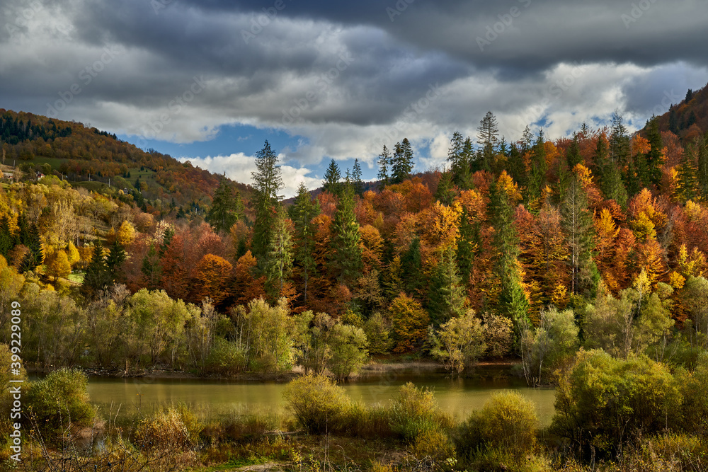 Landscape with river and forest