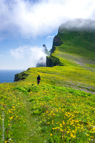 A woman walking through flowers over Hornbjarg cliffs in Hornstrandir nature reserve, Westfjords, Iceland photo