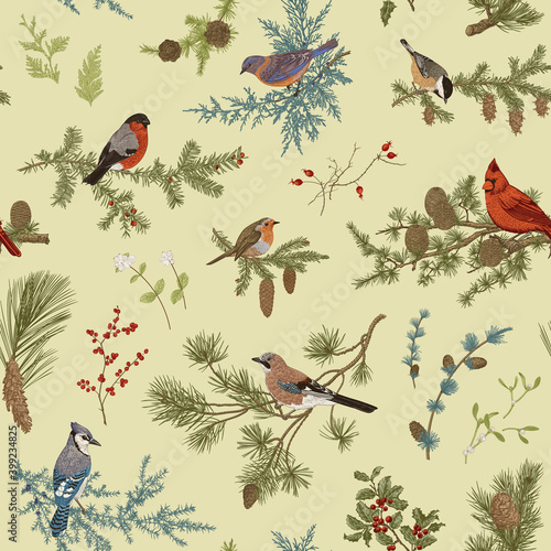 Vintage vector seamless pattern. Winter birds and branches. Botanical illustrations. Green color..