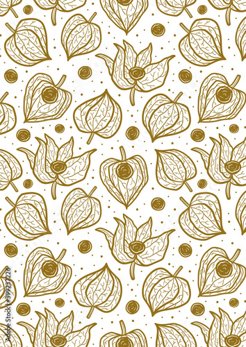 Physalis, winter cherry seamless pattern, texture, background. Greeting card design, template. Ready for print. Vector line art illustration.