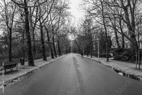 14.02.2012. Amsterdam. Netherland. Road in the Vondelpark  Amsterdam. Black and white photo. Person cycling inside the way.