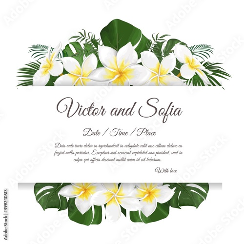 set of vector frames with flowers