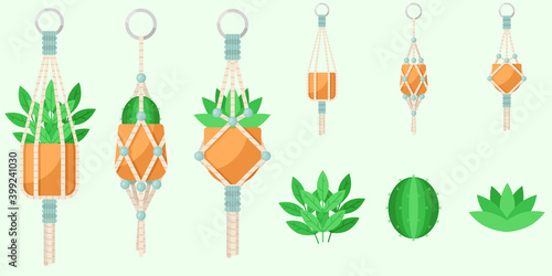 Macrame plants set. Flat vector illustrations of house plants in hanging pots.