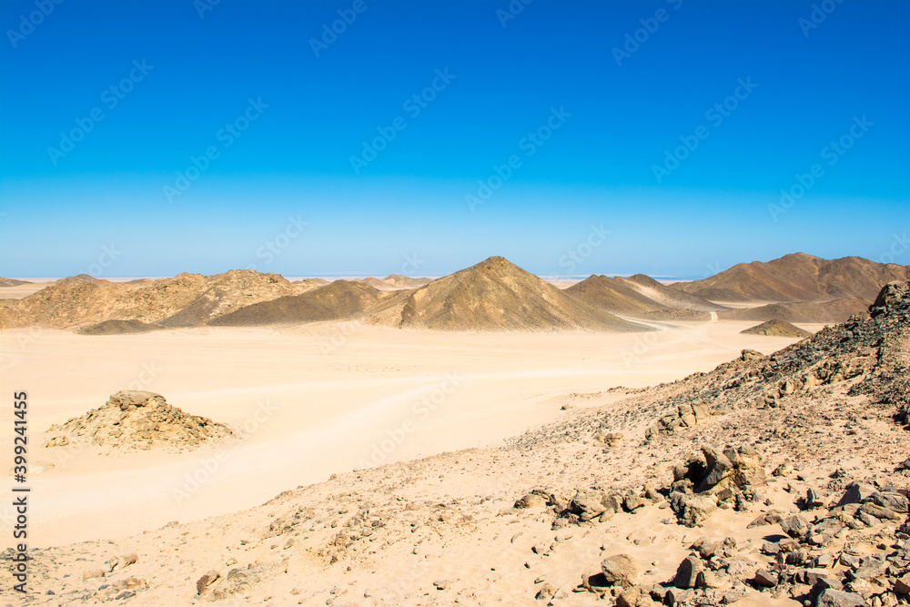 Naklejka premium Landscape of the Arabian desert
