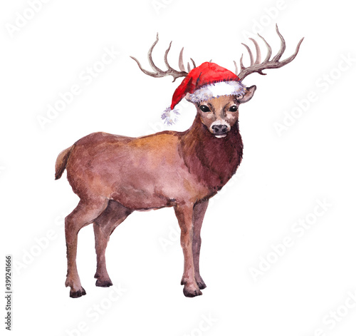 Deer in red santa hat. Watercolor for Christmas