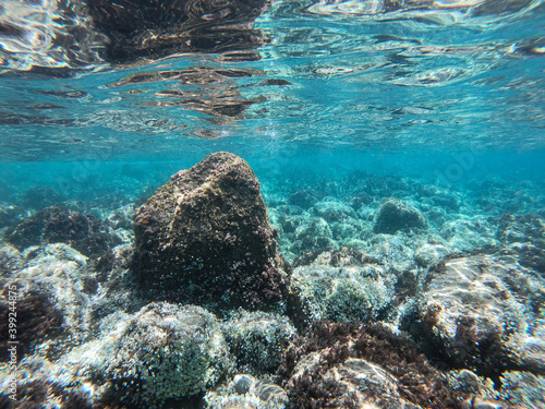 seabed with large stones. clear water of the tropical sea