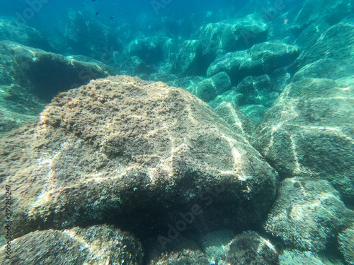Fototapeta Naklejka Na Ścianę i Meble -  seabed with large stones. shallow waters near the coast. clear water of the tropical sea