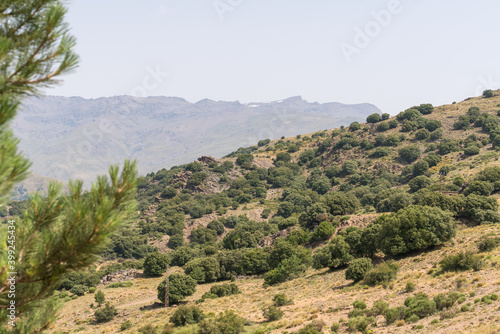 Mountain landscape in Sierra Nevada