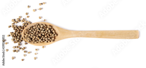 Coriander seeds in wooden spoon isolated on white background, top view