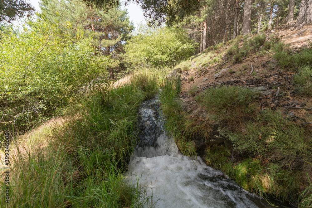 Water flowing through an irrigation ditch in Sierra Nevada Water flowing through an irrigation ditch in Sierra Nevada