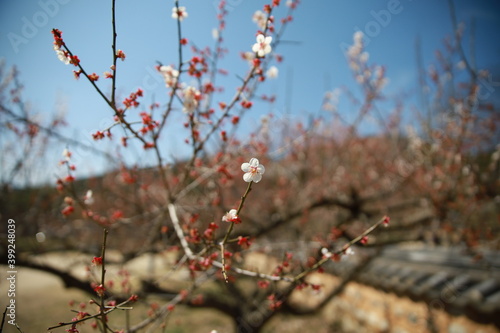 공부