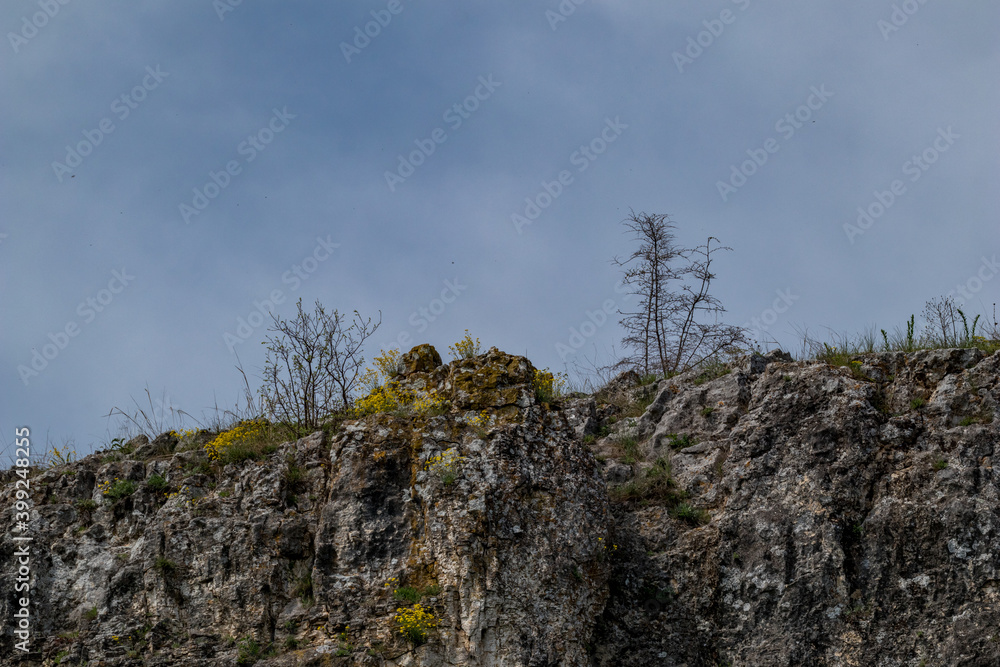 Leafless bushes growing on top of granite cliffs near main entrance of Prohodna cave, Northwestern Bulgaria. Blue sky as copy space