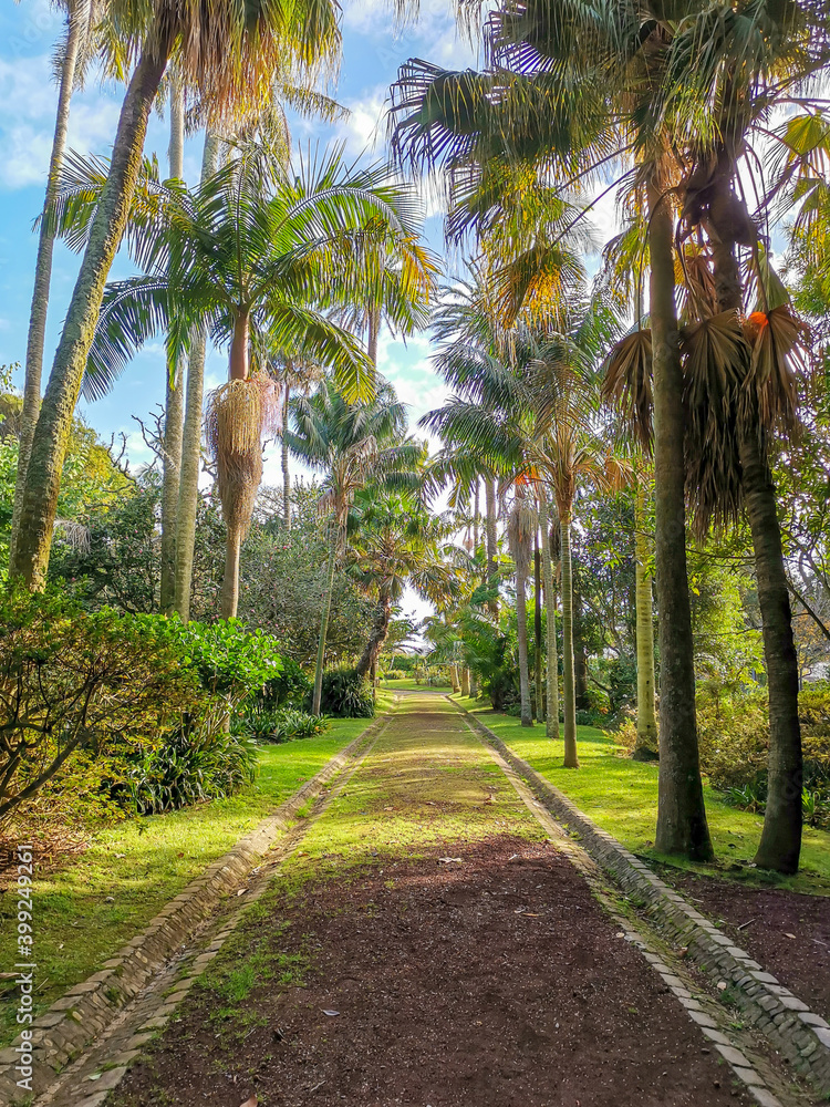 Fototapeta premium Garden António Borges Ponta Delgada, Azores