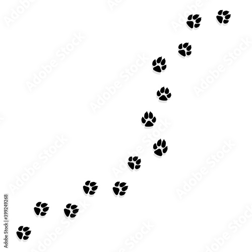 Cat or Dog Paw Print. Pets or Animals Paw Trail. Vector illustration