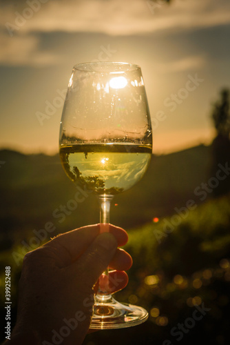 A glass of wine in the hand of a woman against the background of the wineyard. The sun in a glass of wine.