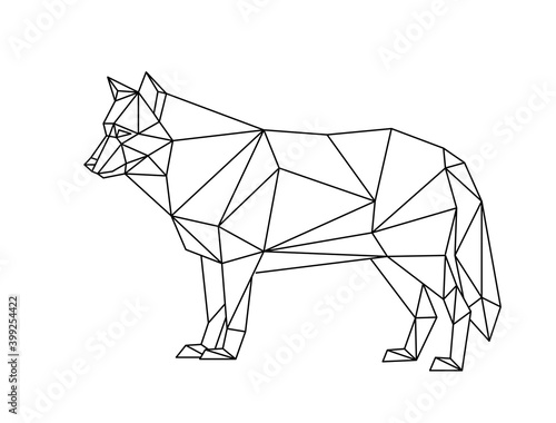 Isolated wolf in low poly style on white background. Polygonal illustration of an animal of prey composed of triangles. Geometric design for print on clothing or poster. Vector illustration.