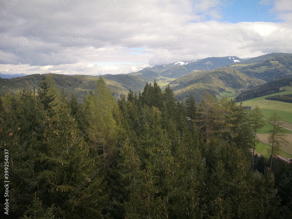 Wipfelwanderweg Rachau Steiermark