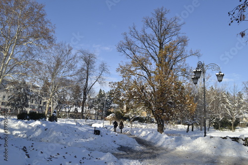 Wallpaper Mural Panorama of the city park covered with snow in Novi Sad  Torontodigital.ca
