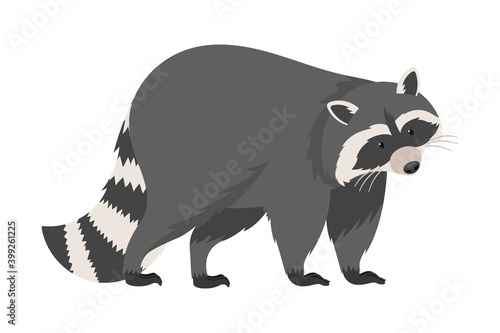 Funny Raccoon with Striped Tail in Walking Pose Vector Illustration