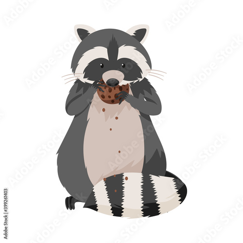 Curious Raccoon Animal with Dexterous Front Paws Eating Chocolate Cookie Vector Illustration