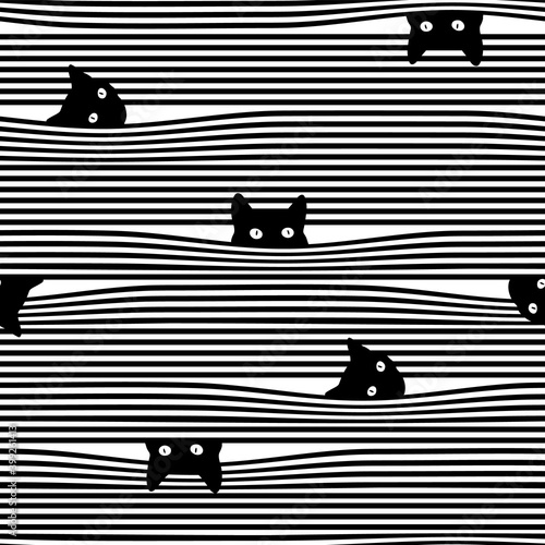 Combination pattern of cat and horizontal stripes,