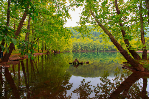 Wonderful landscape with lake Gokce Baraji in Yalova, Turkey. photo