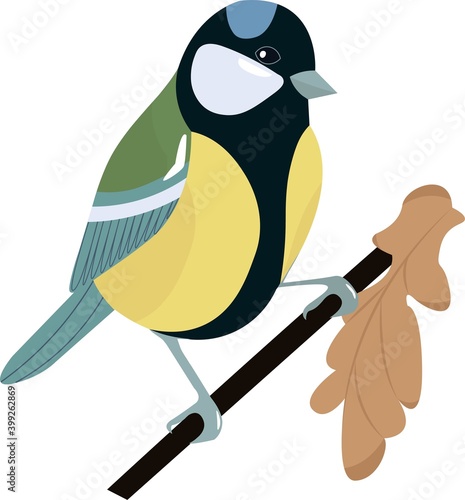 Vector illustration of a titmouse on a branch. Bird on a white background isolated. Template for postcard, poster, web design.