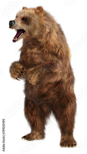 3D Rendering Brown Bear on White