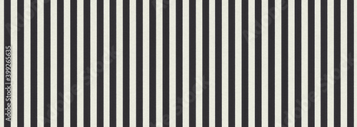 black and white striped bac...