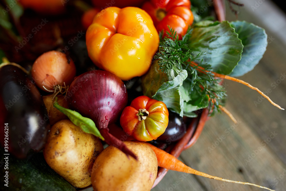 Assortment of fresh vegetables in a basket, bio healthy, organic food