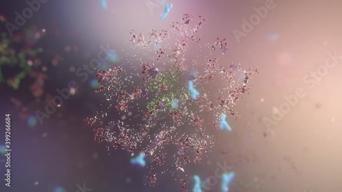 Antibodies attack and destroy the coronavirus. Close-up of dissolving virus under microscope. SARS-CoV-2 COVID-19 pandemic cure or vaccination concept. Realistic high quality medical 3d animation. 
