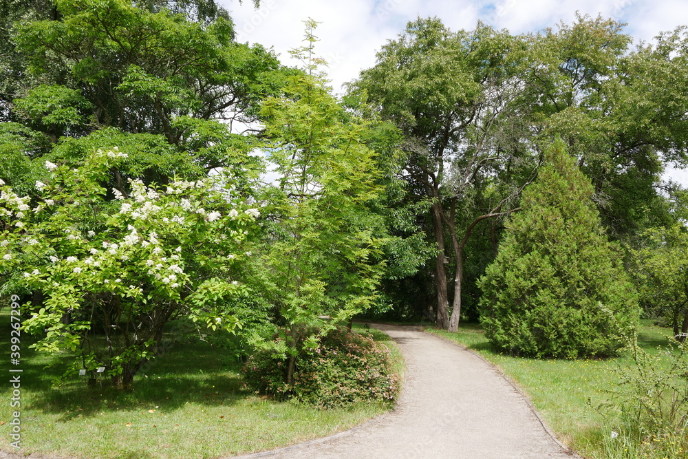 Greifswald: Arboretum des Botanischen Gartens 