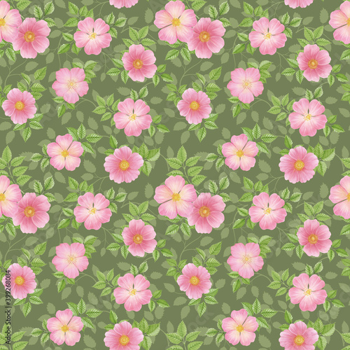 Seamless floral pattern with pink wild roses.