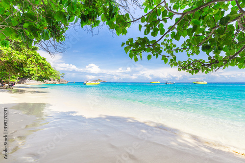 Beautiful beach and blue sky in Similan islands. © gamjai