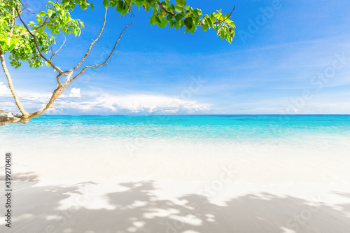 Fototapeta Naklejka Na Ścianę i Meble -  Beautiful beach and blue sky in Similan islands.