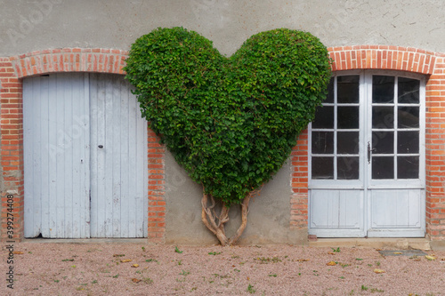 haie coeur
