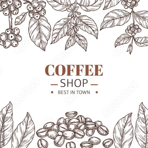 Coffee shop poster. Drawing leaves, hand drawn beans or roasted arabica grains. Cafe branding, vintage sketch plants frame vector template. Illustration coffee roasted banner drawing