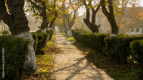 path in the park