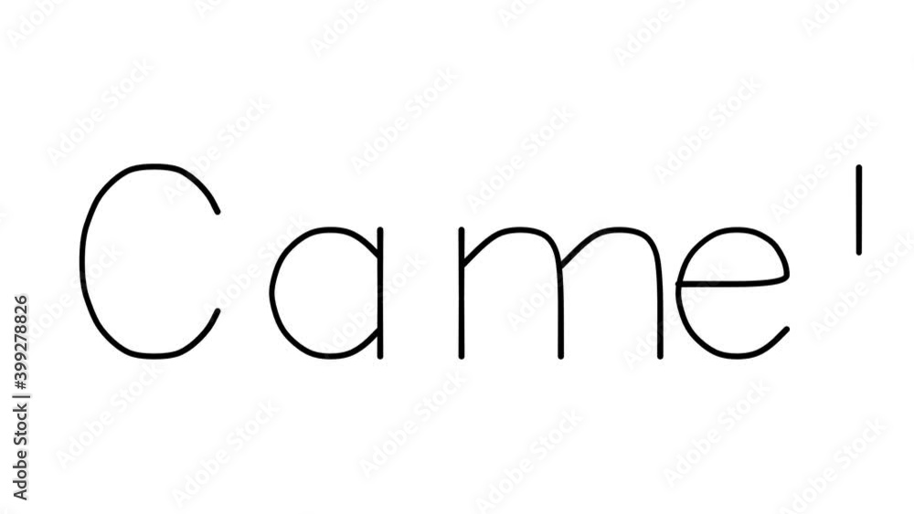 Camel Handwritten Text Animation in Various Sans-Serif Fonts and Weights