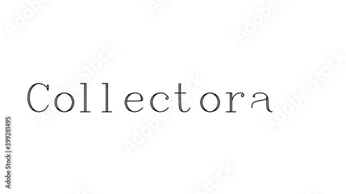 Collectorate Animated Handwriting Text in Serif Fonts and Weights photo