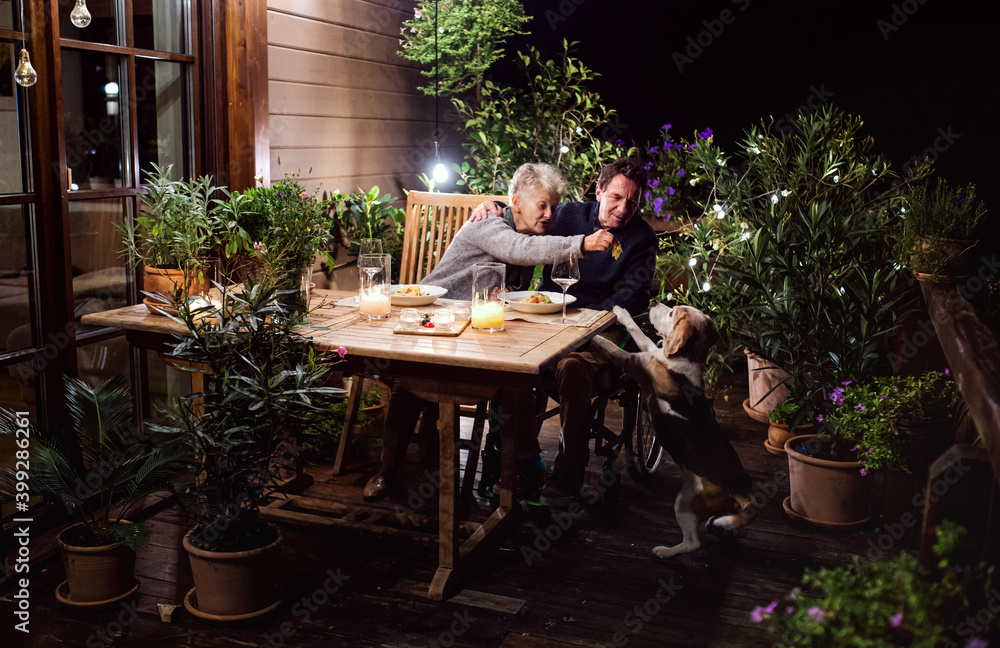 Senior couple in wheelchair having dinner in the evening on terrace, feeding dog. Senior couple in wheelchair having dinner in the evening on terrace, feeding dog.