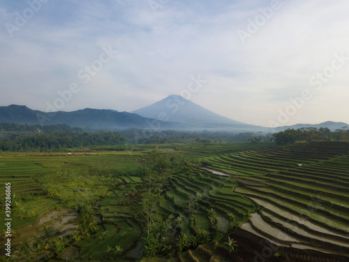 Terraced rice field with mountain on the background with slightly foggy weather in the morning. Kajoran rice field with Mount Sumbing. Central Java, Indonesia
