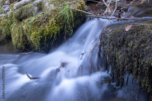 Stream in the forest