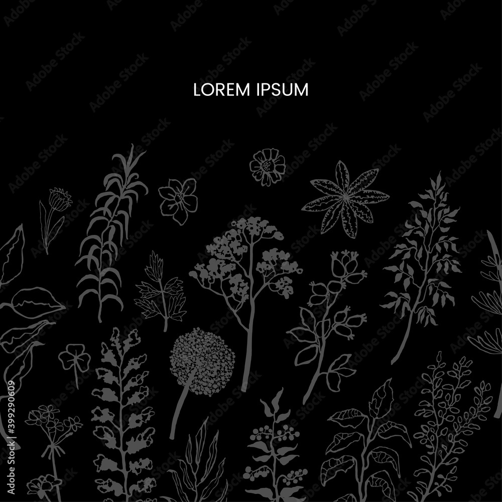 Vector floral template with plants and flowers. Hand draw frame. Use it as invitation, greeting card, poster, banner, Social Media design post, flyer, cover, placard, brochure and other graphic design Vector floral template with plants and flowers. Hand draw frame. Use it as invitation, greeting card, poster, banner, Social Media design post, flyer, cover, placard, brochure and other graphic design
