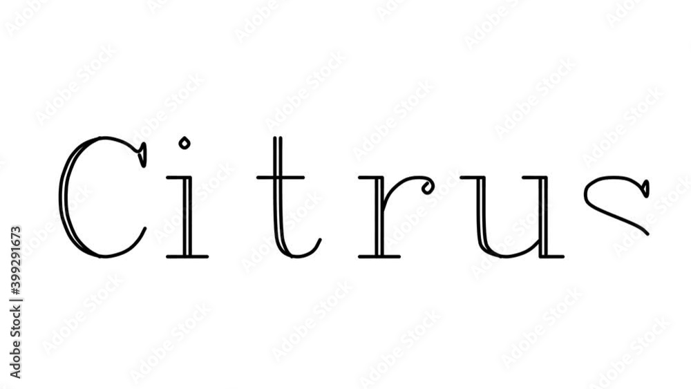 Citrus Animated Handwriting Text in Serif Fonts and Weights Citrus Animated Handwriting Text in Serif Fonts and Weights