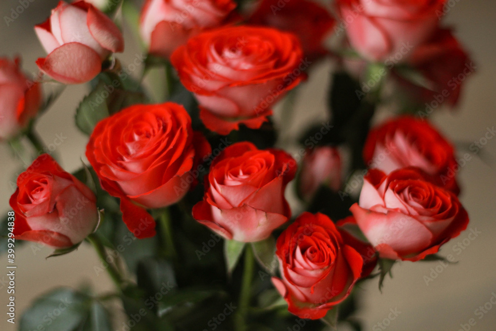 Flowers. Red roses. Beautiful bouquet. Happy birthday. Greating cards. Love. Luxury Flowers. Red roses. Beautiful bouquet. Happy birthday. Greating cards. Love. Luxury