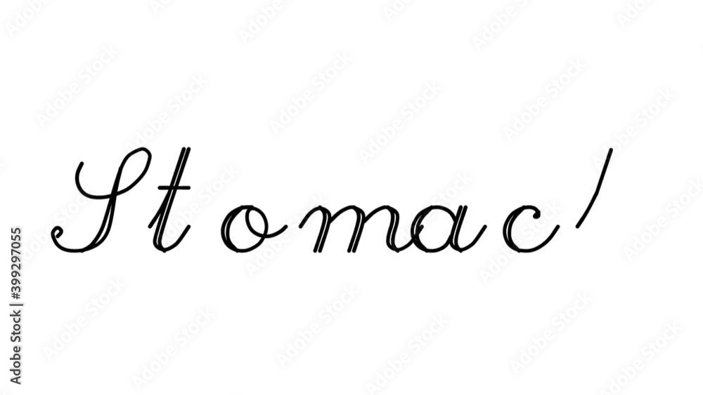 Stomach Decorative Handwriting Animation in Six Cursive and Gothic Fonts Stomach Decorative Handwriting Animation in Six Cursive and Gothic Fonts